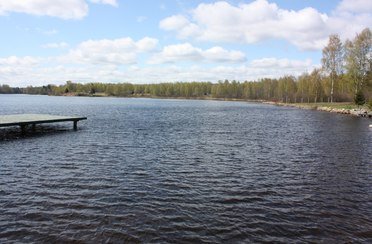 Велье. Фото 4580.