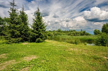 Урёв. Фото 459.