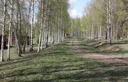 Велье. Фото 4591.