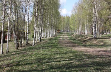 Велье. Фото 4591.