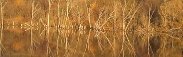 Рыбное место. Фото 4606.