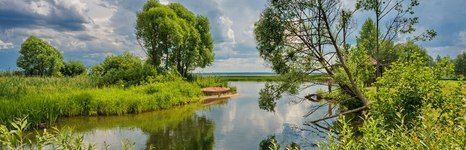 Урёв. Фото 461.