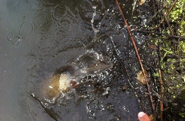 Рыбное место. Фото 4614.