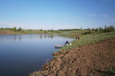Бобков лог. Фото 4620.