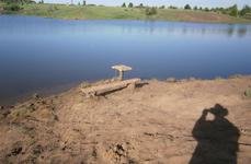 Бобков лог. Фото 4621.