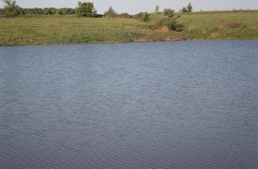 Бобков лог. Фото 4623.
