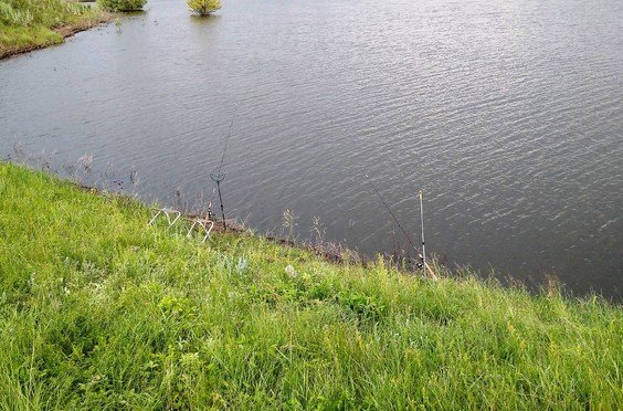Буденовский пруд. Фото 4627.