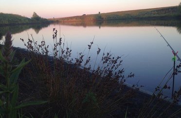Буденовский пруд. Фото 4628.