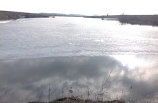 Буденовский пруд. Фото 4631.