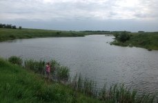 Буденовский пруд. Фото 4632.