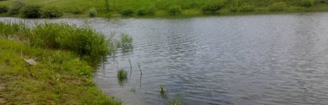 Буденовский пруд. Фото 4638.