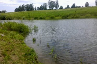 Буденовский пруд. Фото 4639.