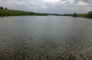 Буденовский пруд. Фото 4640.