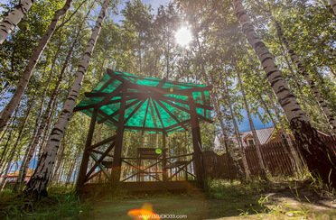 Березовый рай. Фото 4687.