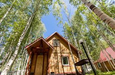 Березовый рай. Фото 4689.