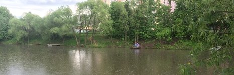 Белый карп. Фото 4691.