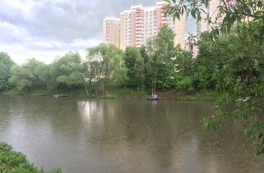 Белый карп. Фото 4691.