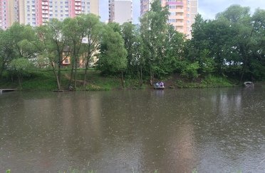 Белый карп. Фото 4692.