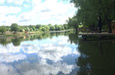 Белый карп. Фото 4697.