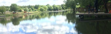 Белый карп. Фото 4697.