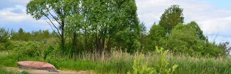 Урёв. Фото 470.