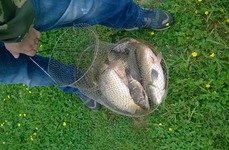 Шапкино. Фото 4708.