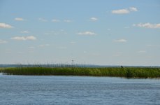 Урёв. Фото 472.