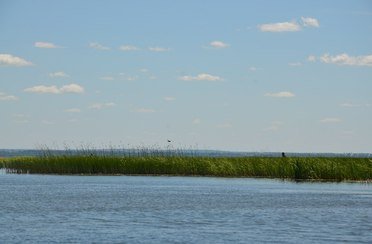 Урёв. Фото 472.