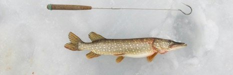 Бармино. Фото 474.