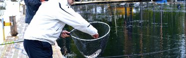 Greenvald Fishing. Фото 4743.