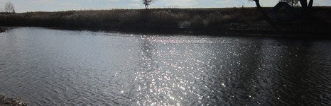 Пруд Перепеловский. Фото 4751.