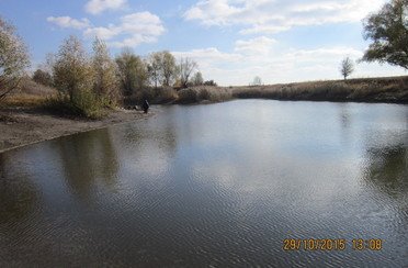 Пруд Перепеловский. Фото 4753.