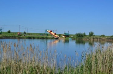 Золотой сазан. Фото 4758.