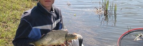 Вольное. Фото 4781.