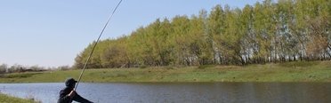 Вольное. Фото 4782.