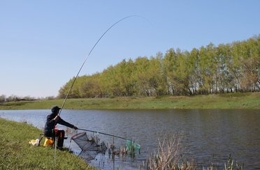 Вольное. Фото 4782.