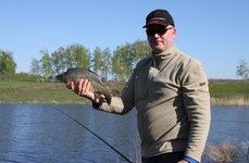 Вольное. Фото 4783.