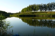 Вольное. Фото 4790.