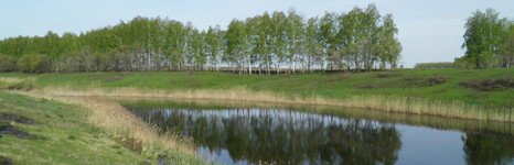 Вольное. Фото 4800.