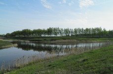Вольное. Фото 4802.