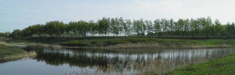 Вольное. Фото 4802.