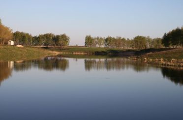 Вольное. Фото 4805.