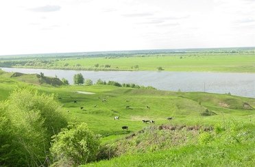 Барское подворье. Фото 4810.