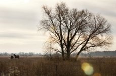 Барское подворье. Фото 4815.