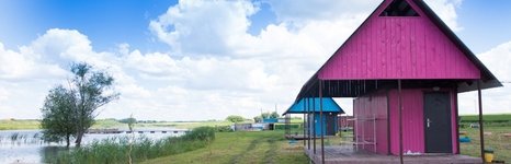 Зеленевский пруд. Фото 4825.