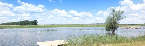 Зеленевский пруд. Фото 4827.