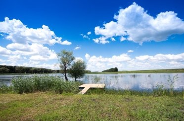 Зеленевский пруд. Фото 4830.