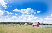 Зеленевский пруд. Фото 4832.