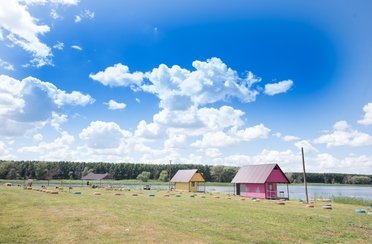 Зеленевский пруд. Фото 4832.