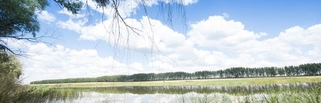 Зеленевский пруд. Фото 4834.